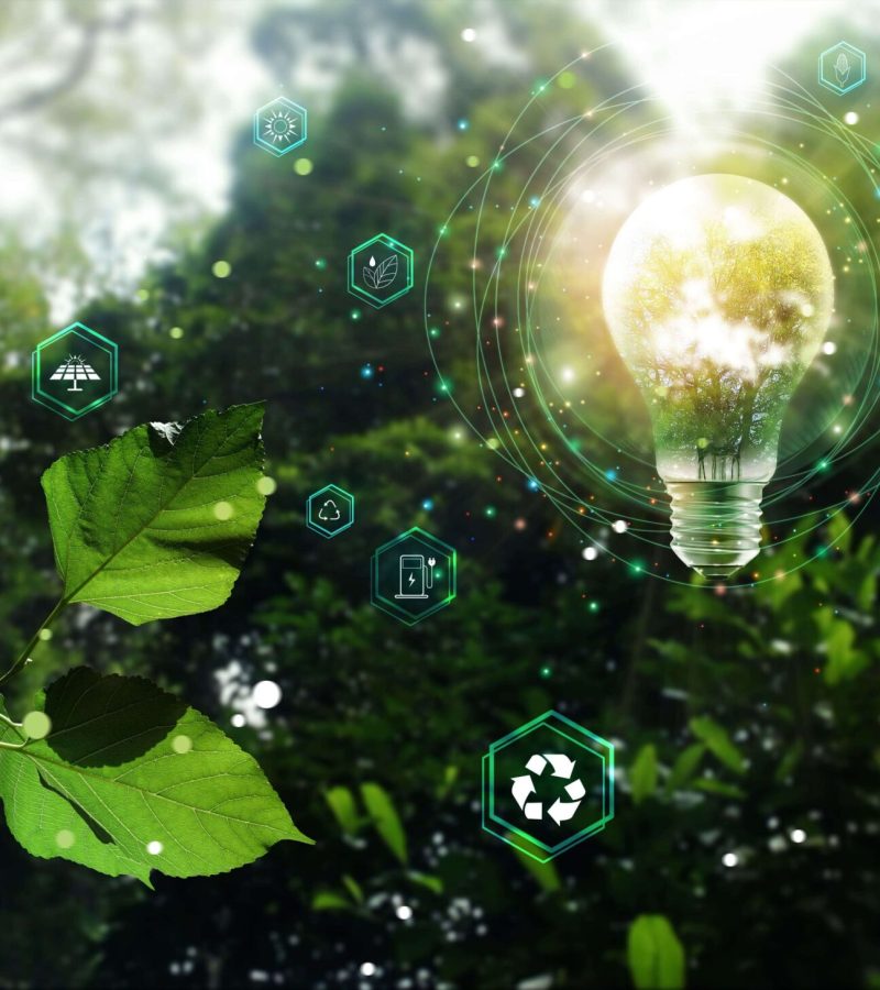 b677F4690h410ZzfZnkQ (1)